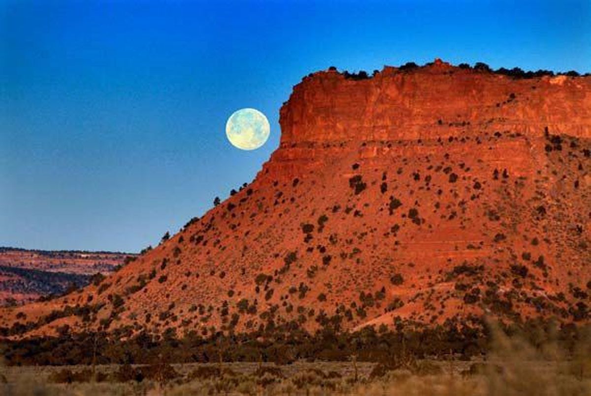 11 Reasons Why Arizona Is The Best Place To Spend Your Spring Break