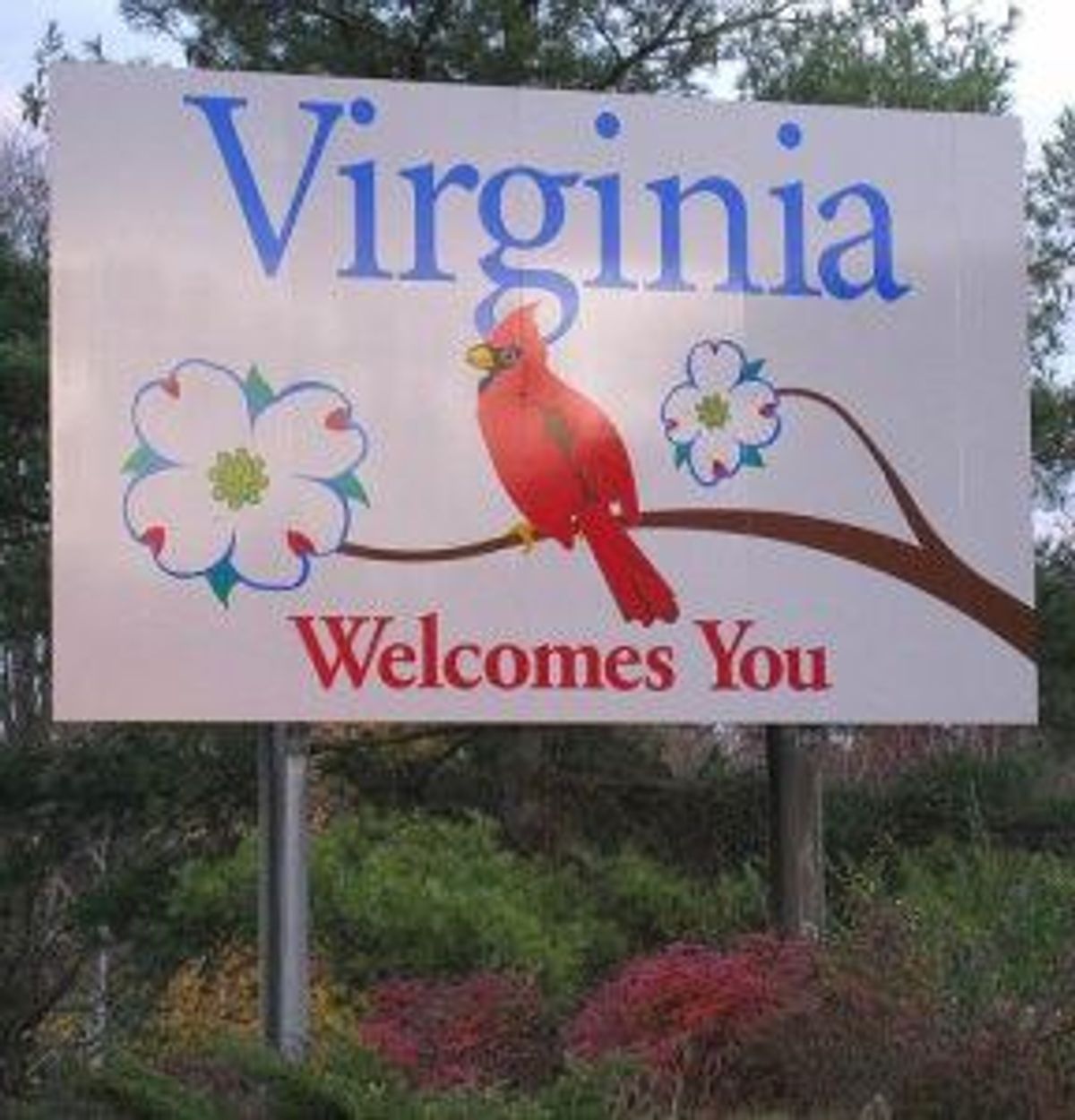 10 Places To Visit In Virginia