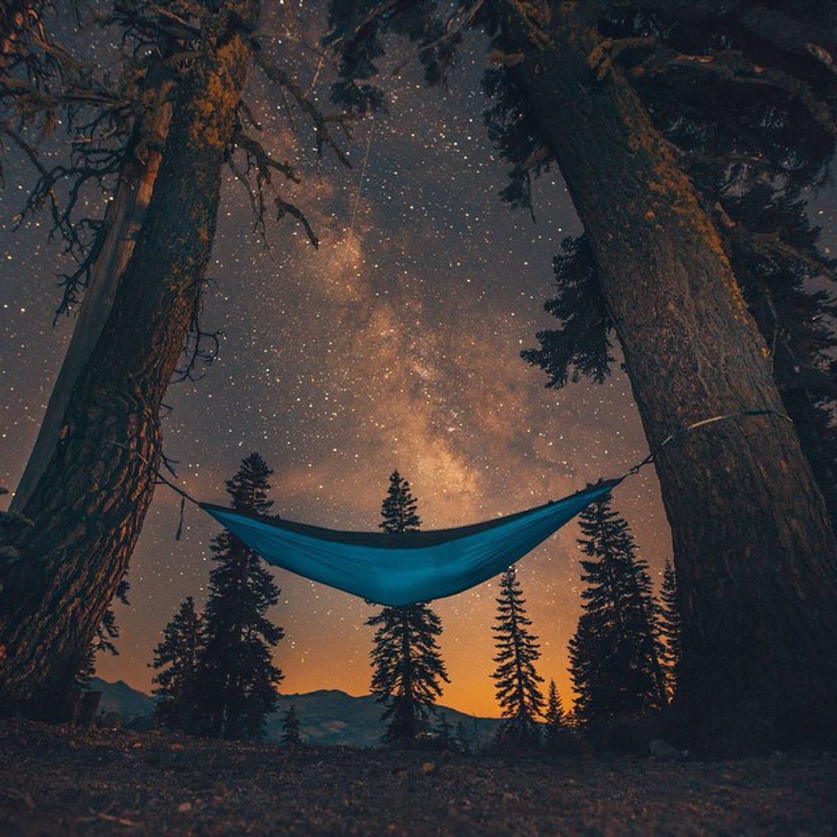 Happiness Is A Hammock