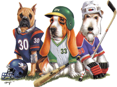 If American University Varsity Sports Teams Were Dogs