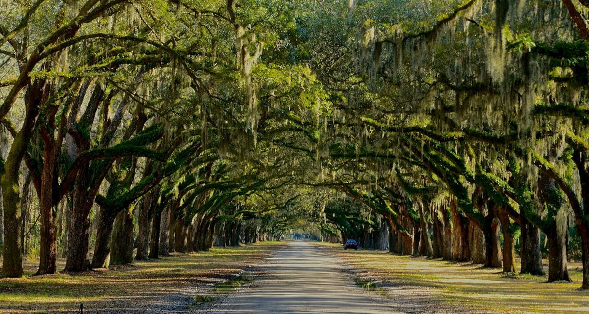 10 Georgia State Parks You Need To Go To