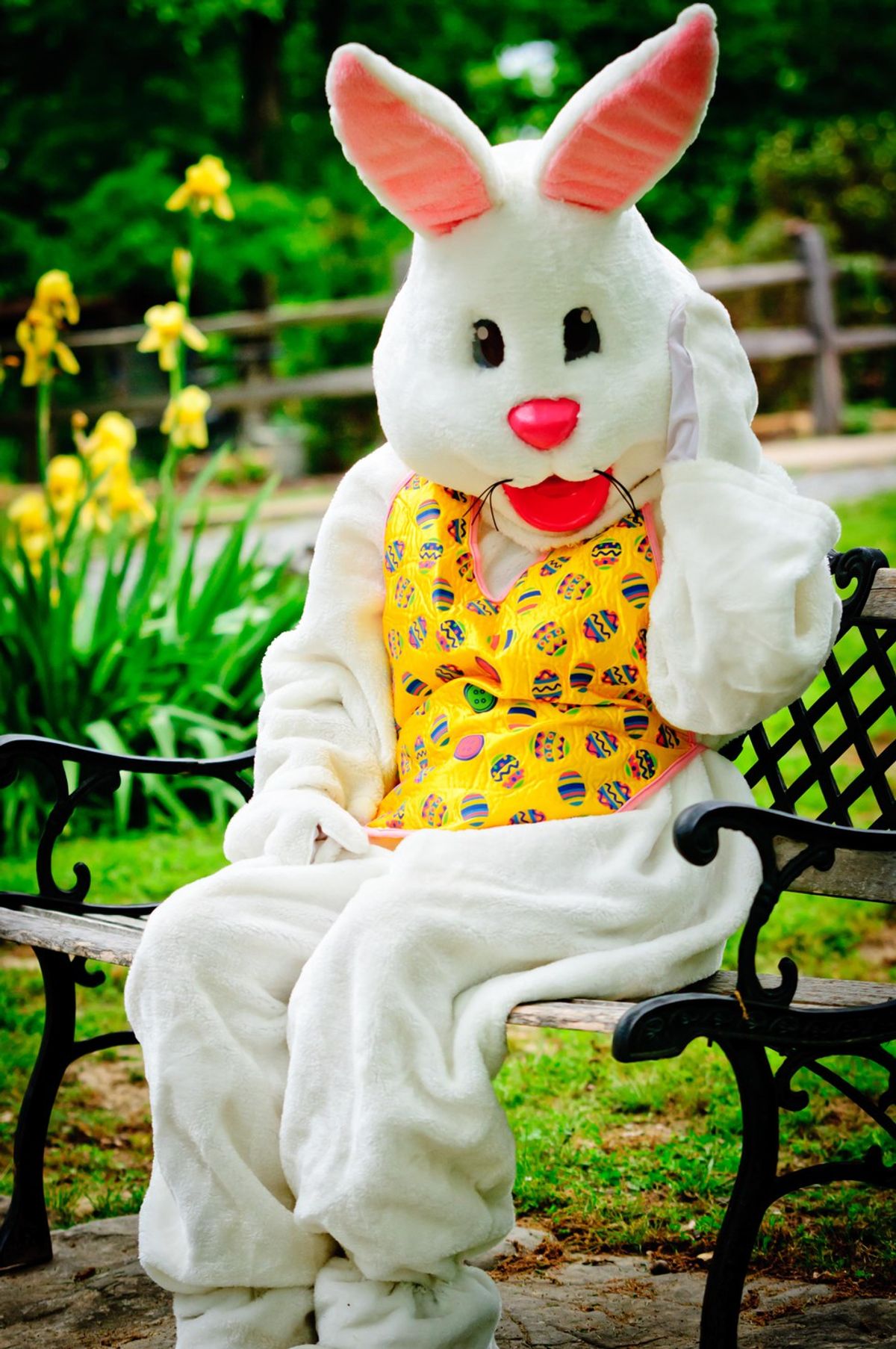 If The Easter Bunny Stopped At UVa