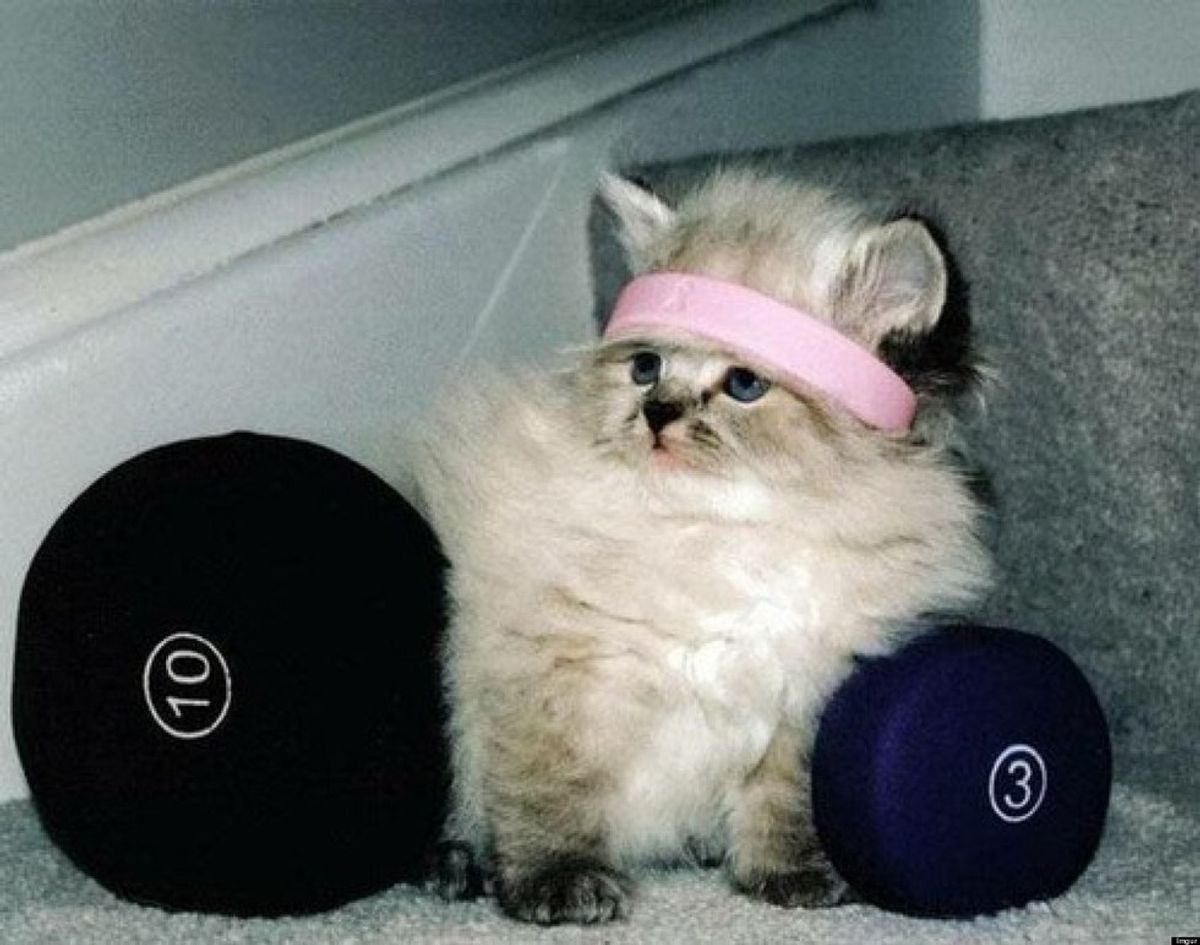 15 Gym Struggles We All Know