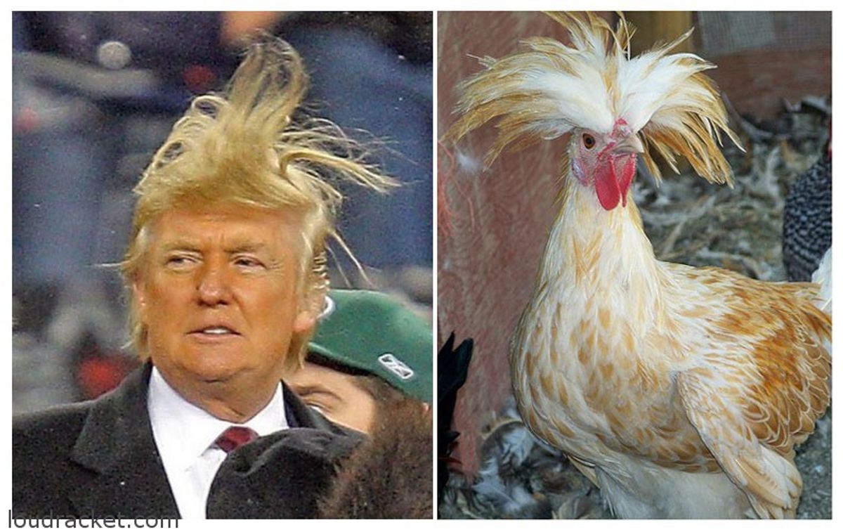 10 Trump Look-Alikes To Get You Through The Week