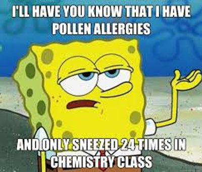 pollen allergies funny