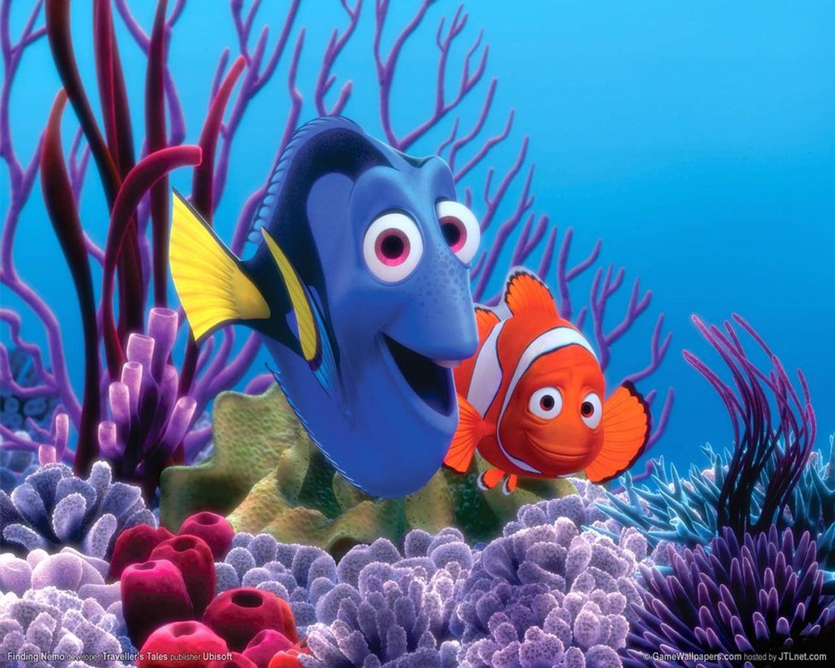 10 'Finding Nemo' GIFs That Perfectly Describe Your College Experience