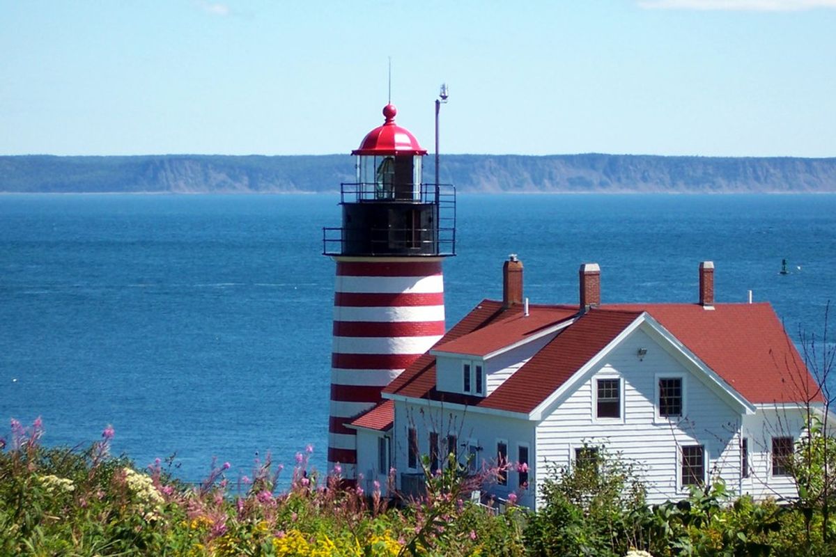 The 11 Stages Of A New England Spring