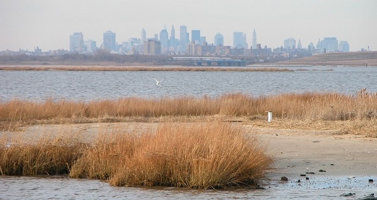 The Science And Resilience Institute Comes To Brooklyn College