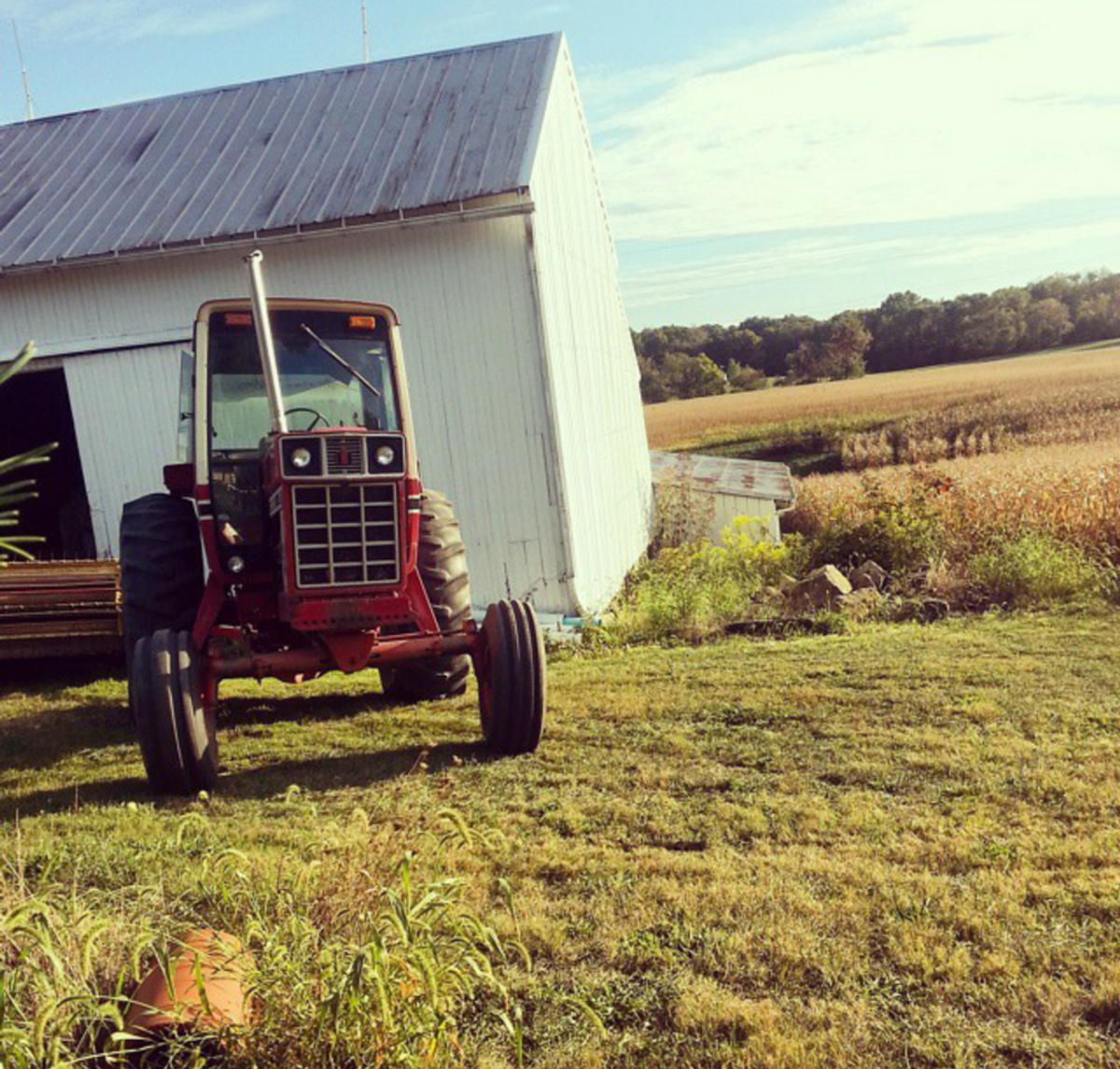 15 Signs You Grew Up On A Farm