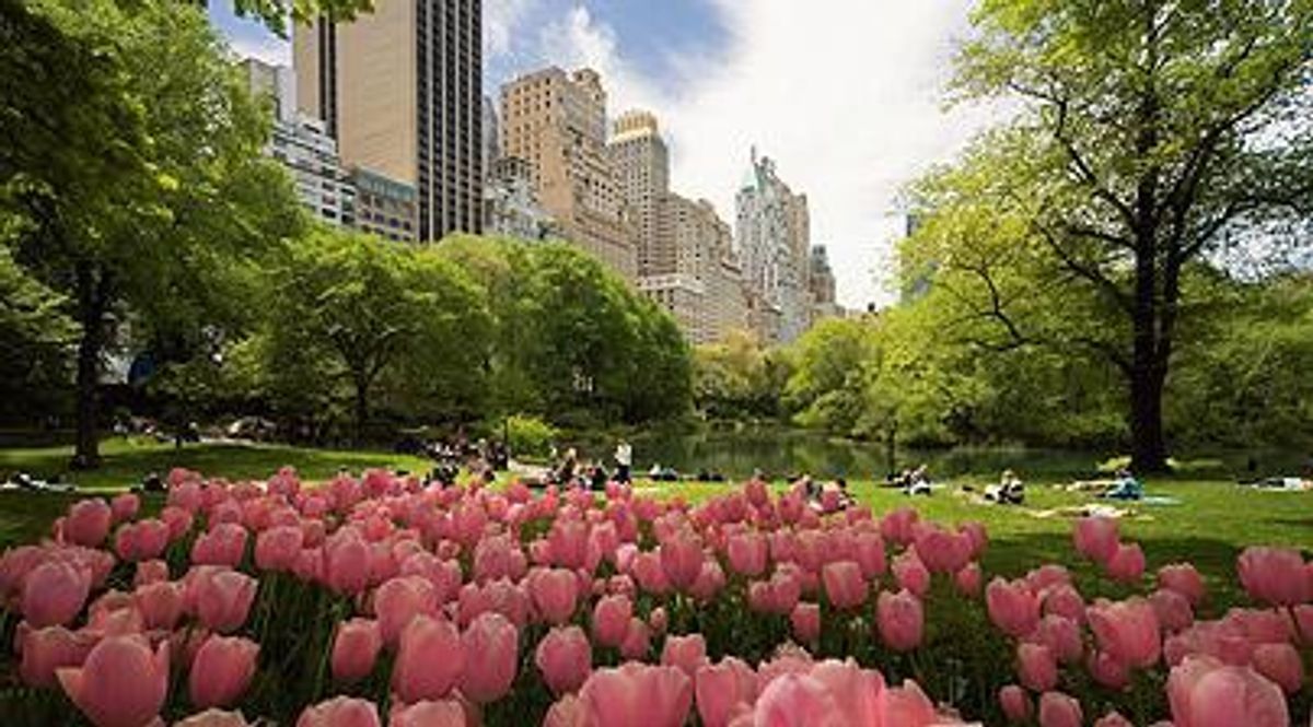 New York In the Spring— Five Places To Visit Before The End Of The Semester