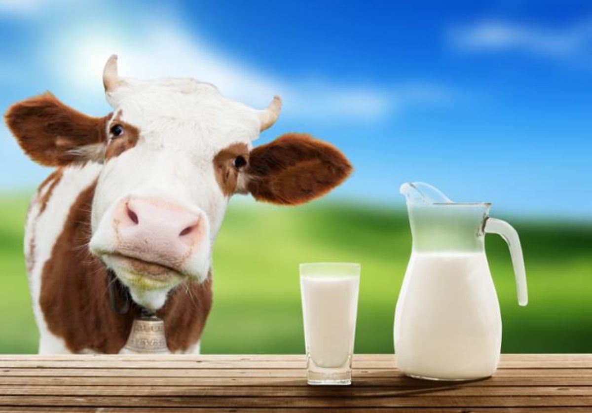 4 Reasons You Should Stop Drinking Milk