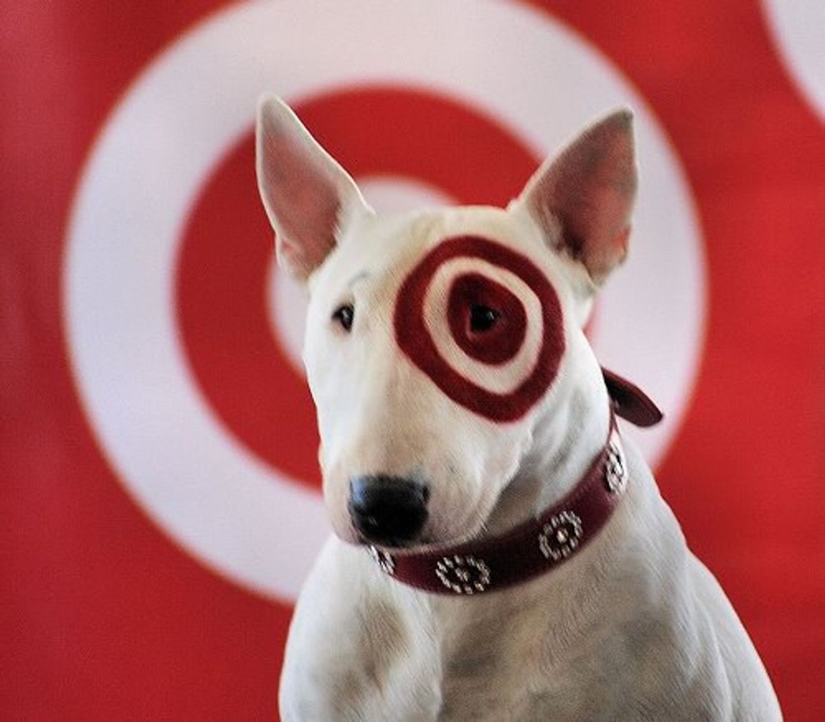 A College Senior's Love Letter To Target