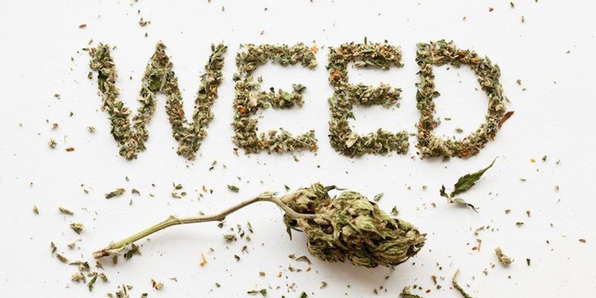 6 Reasons Why We Love It: College Kids & Weed