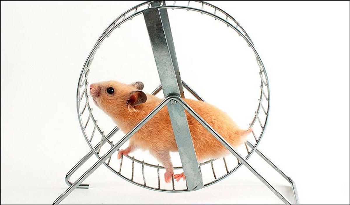 Hamster Wheels And The River Styx