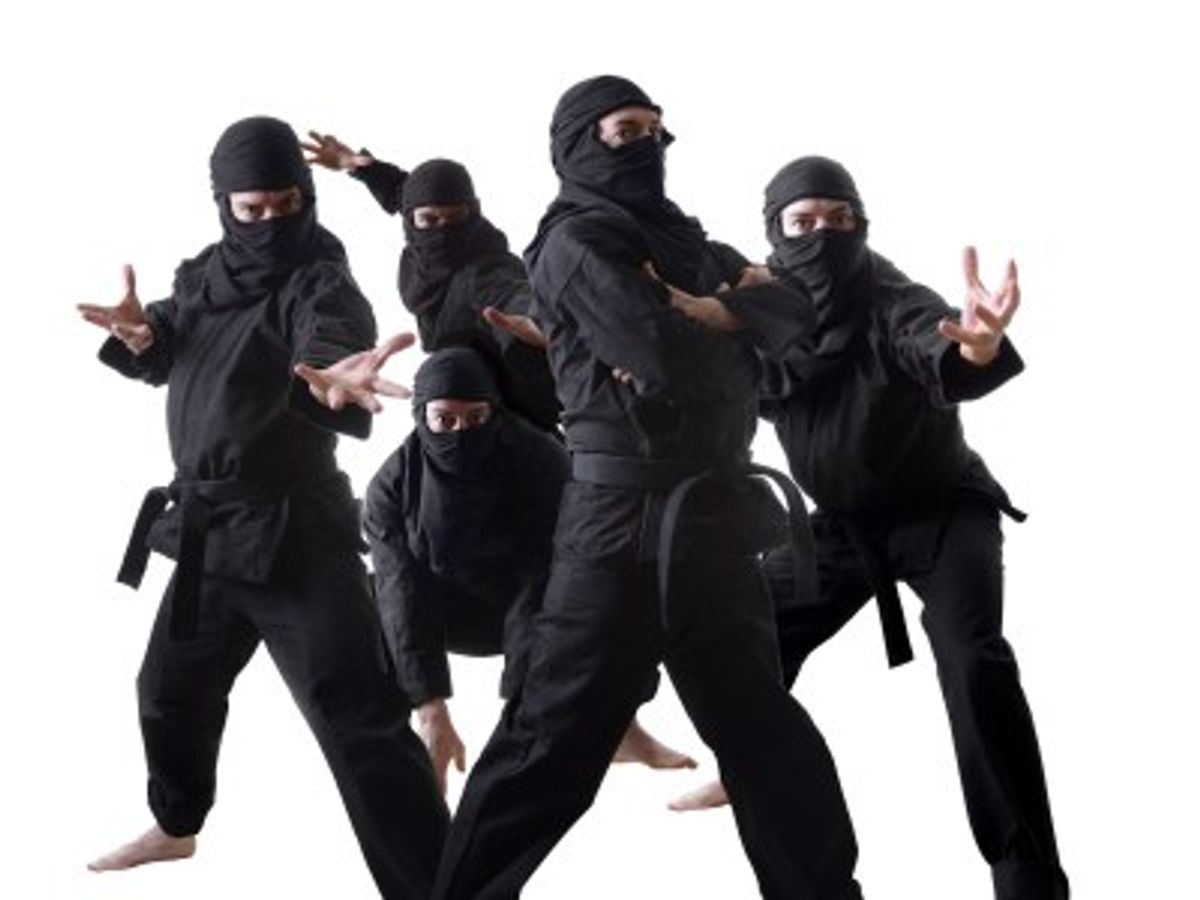 11 Things You Never Knew About Ninjas