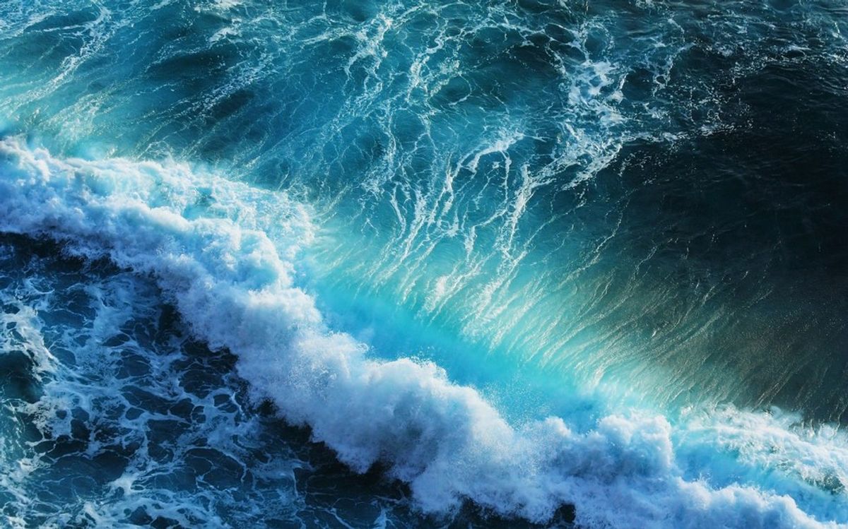 Cancer Cures And Clean Energy Are Hiding In The Earth's Oceans