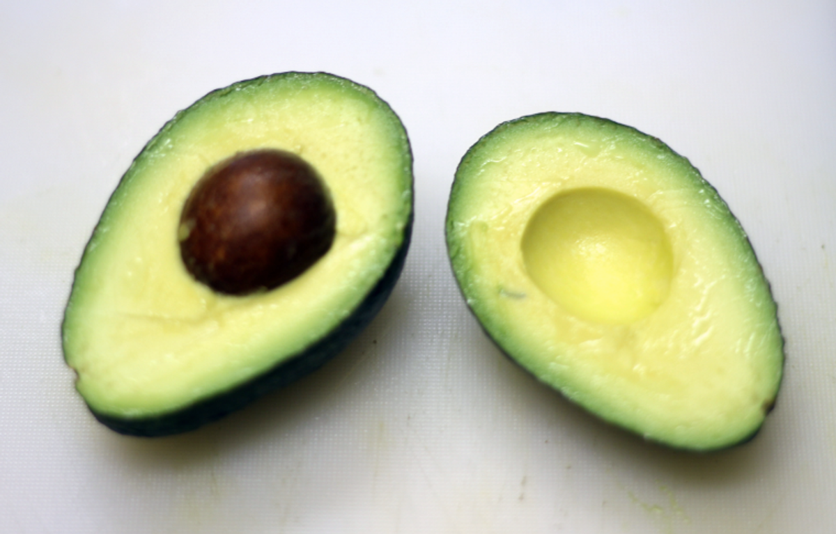 Why Avocados Are The Best Food Known To Man