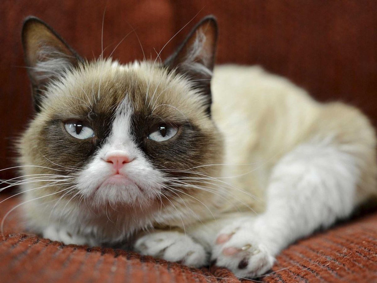 RBF As Told By Grumpy Cat