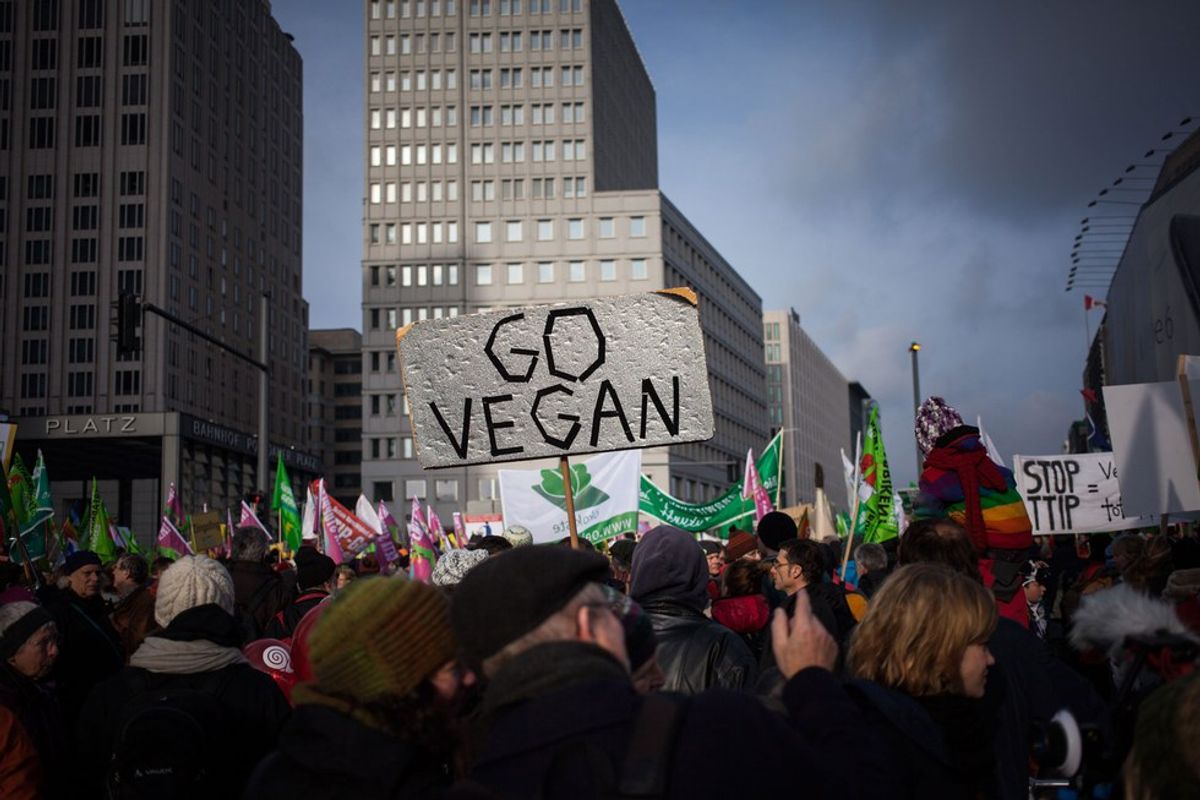 On Vegetarianism And Why Not Everyone Is Convinced - And Why That Might Be Okay