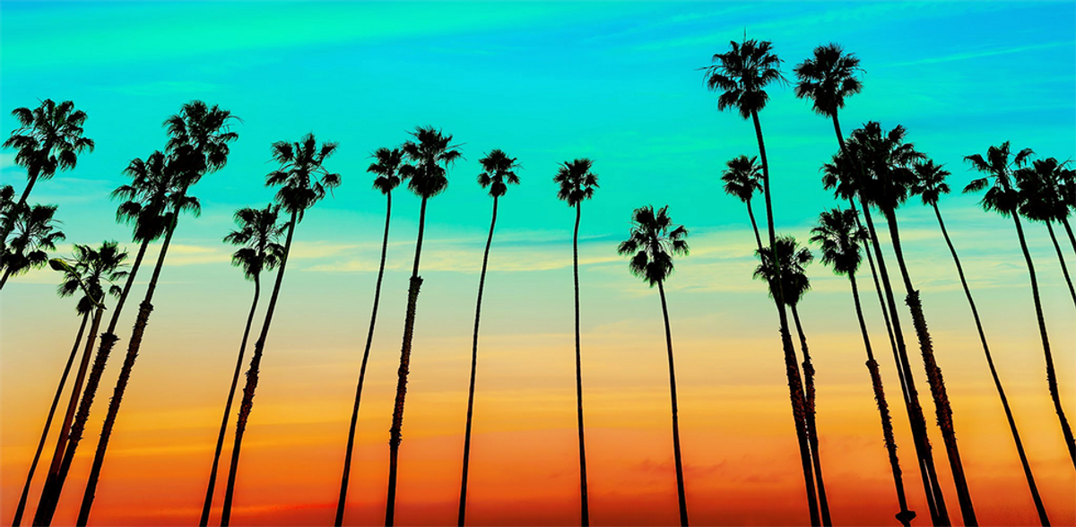 17 Definitive Signs That You're From Southern California