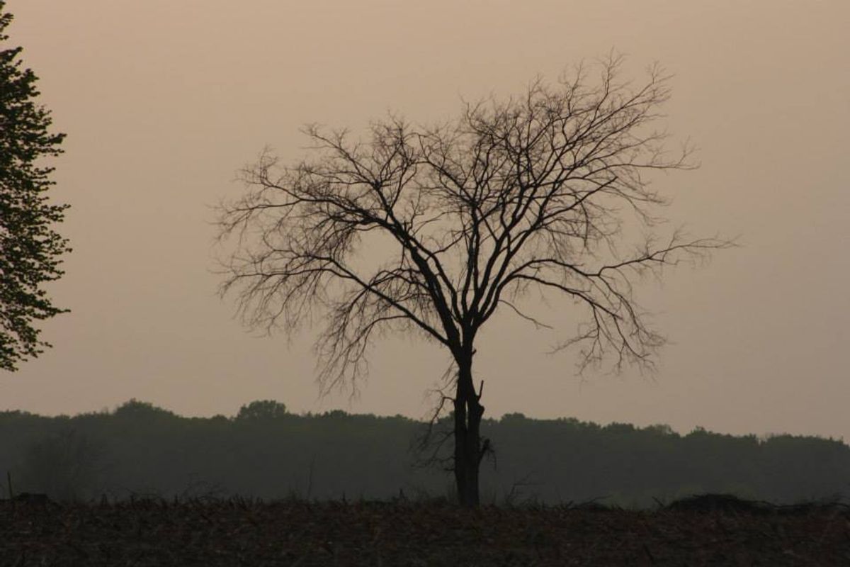 Grieving For The Grievers