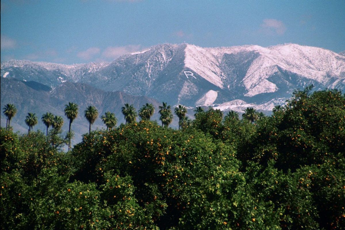 Why I Love Redlands, California