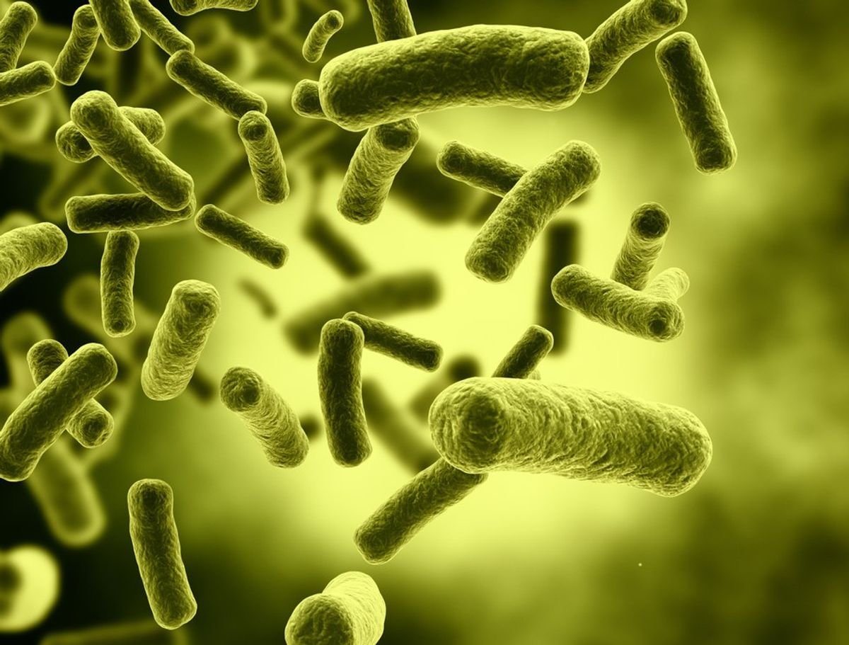 What You Know And Don't Know About E.Coli