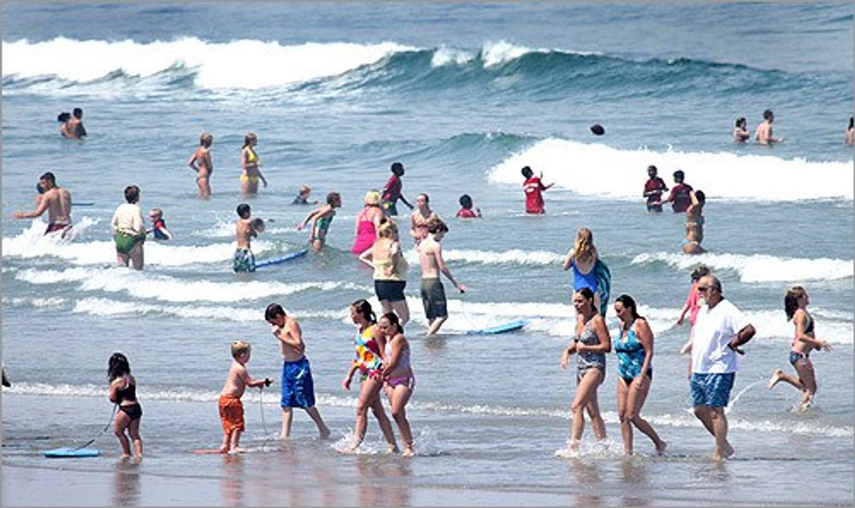 7 Types Of Beachgoers