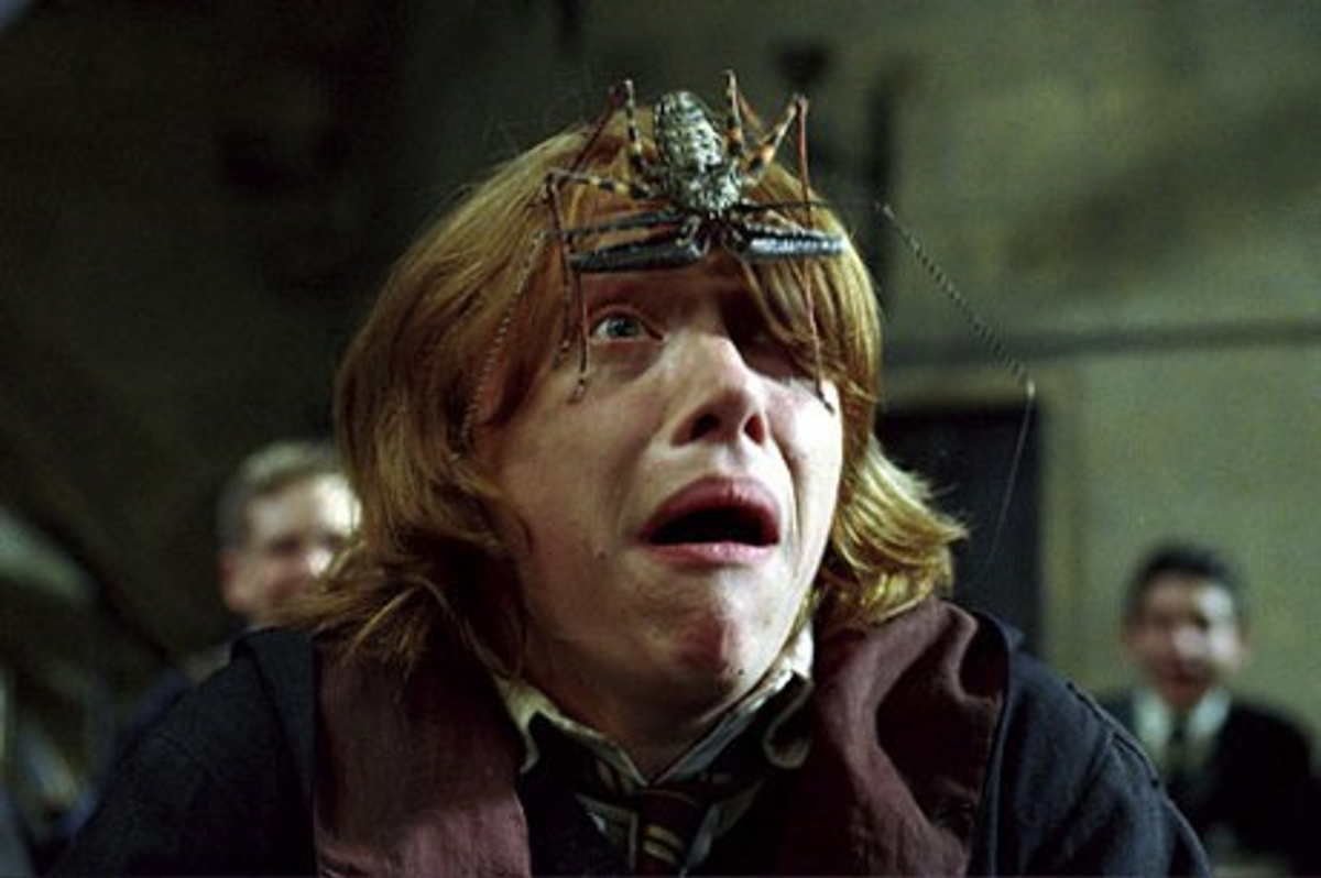 12 Signs You're Ron Weasley And Spiders Are Your Mortal Enemy