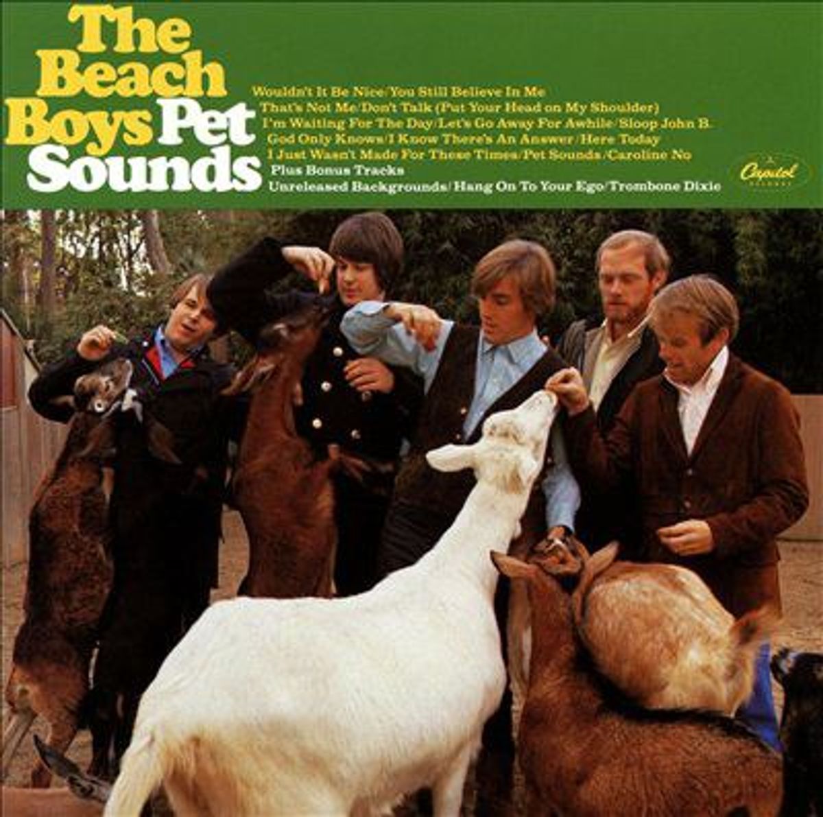 Pet Sounds Turns 50