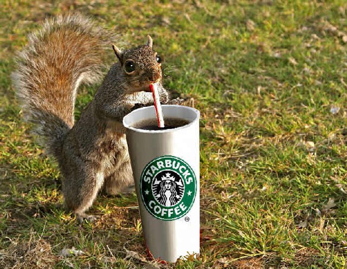 Signs You're A Coffee Snob