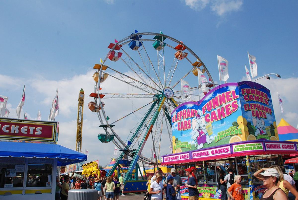 10 Reasons You Should go to Your Local County 4-H Fair