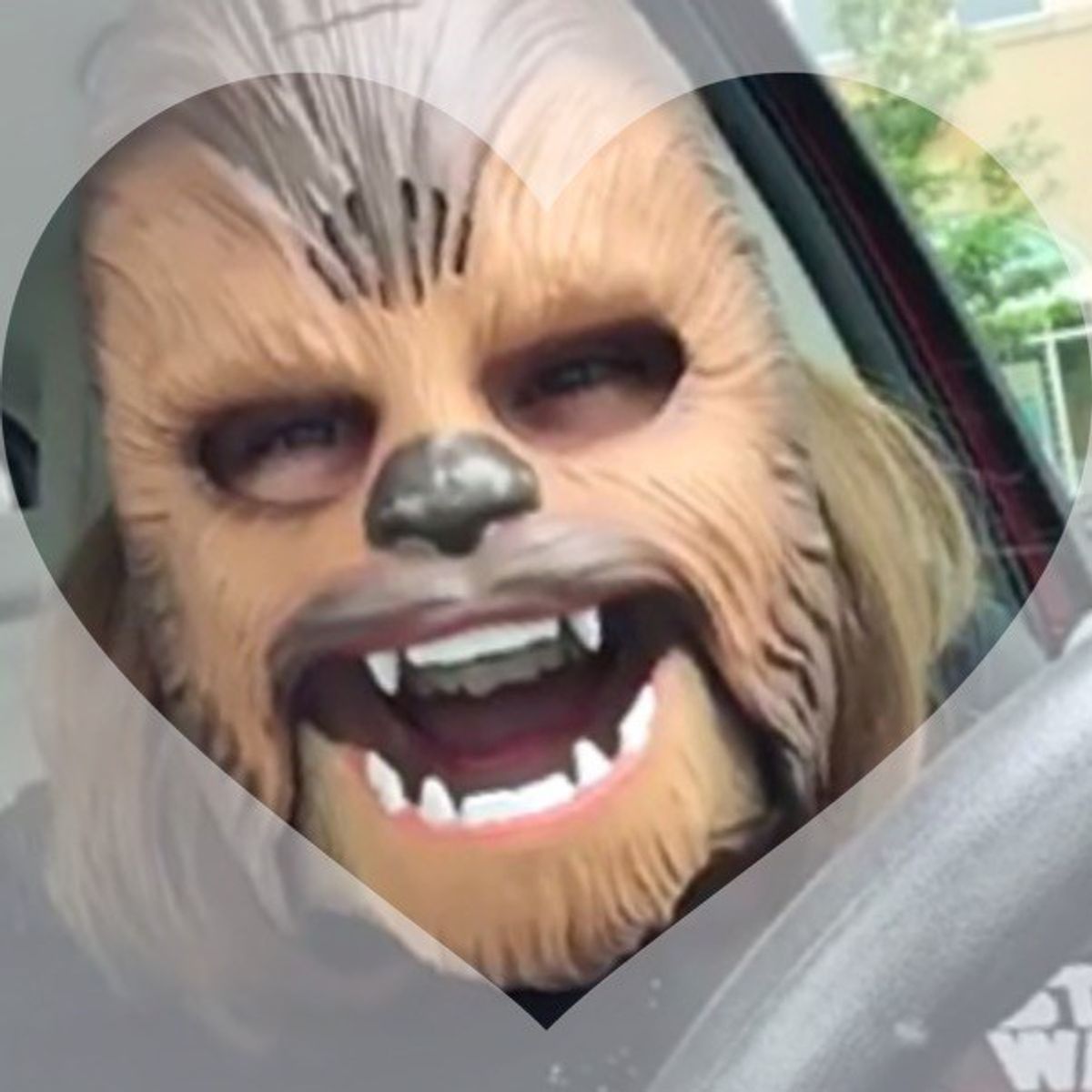 A Thank You To 'The Chewbacca Mask Lady'