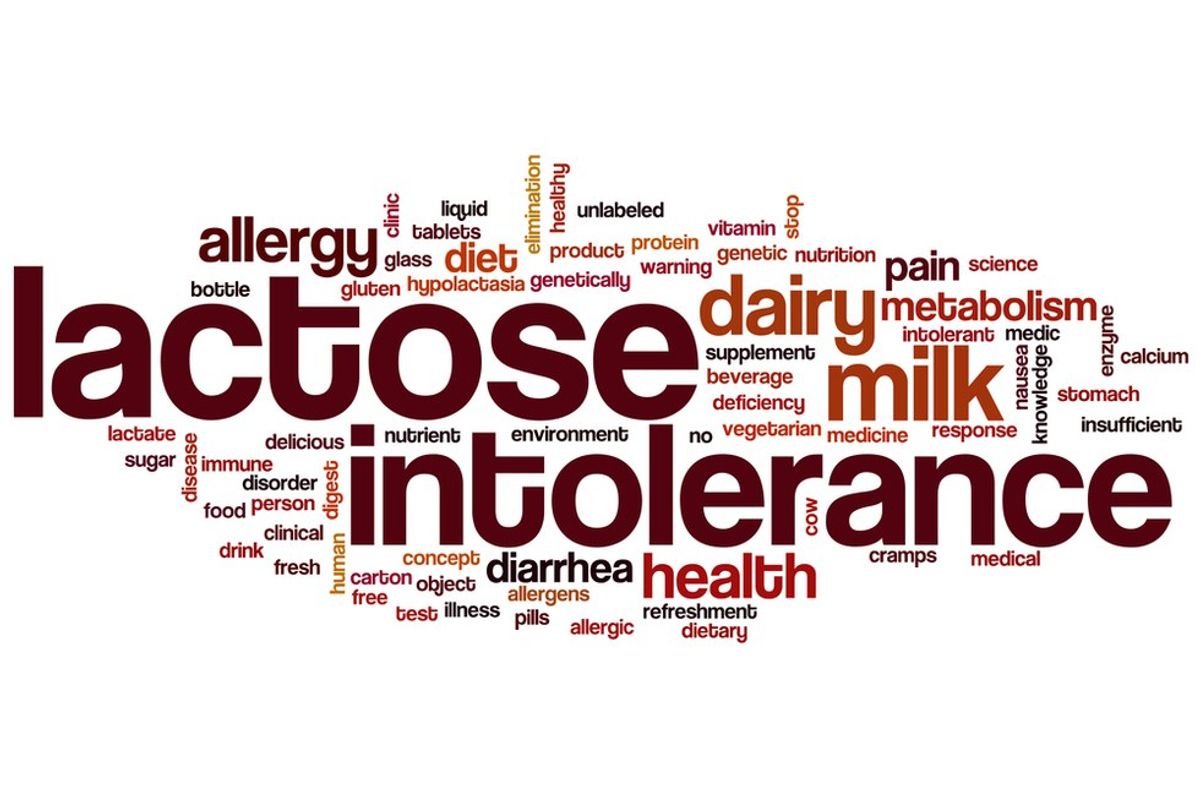 Daily Issues For Lactose Intolerant Individuals