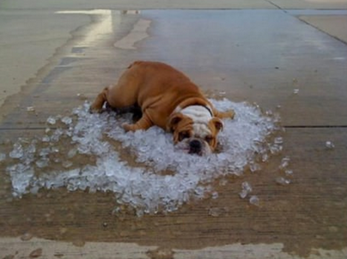 When It's Too Hot Outside