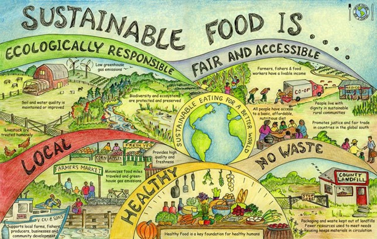 Sustainable Eating - How Everyone Can Reduce Carbon Emissions