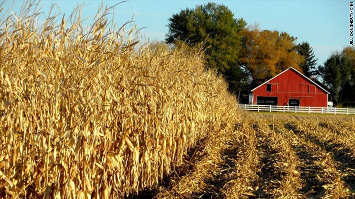 Perks Of Growing Up In Iowa