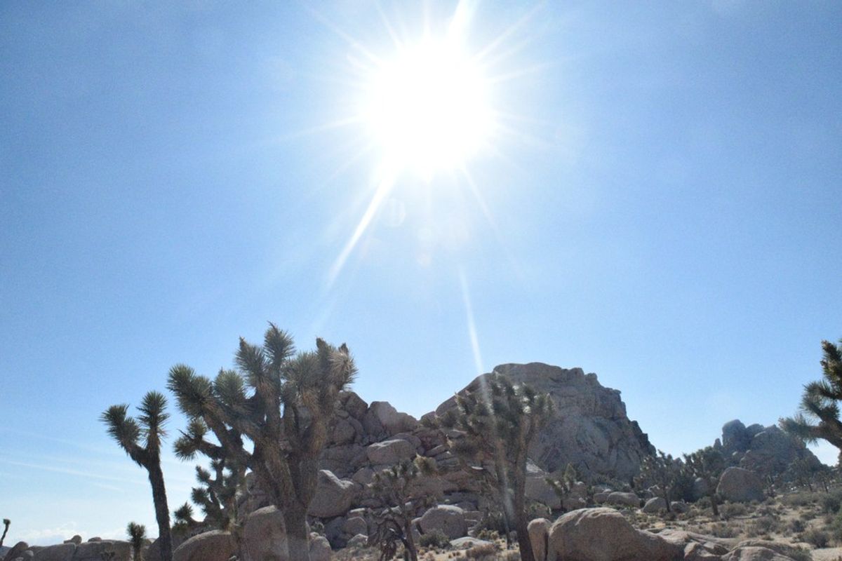 Joshua Tree Is A California National Park Must