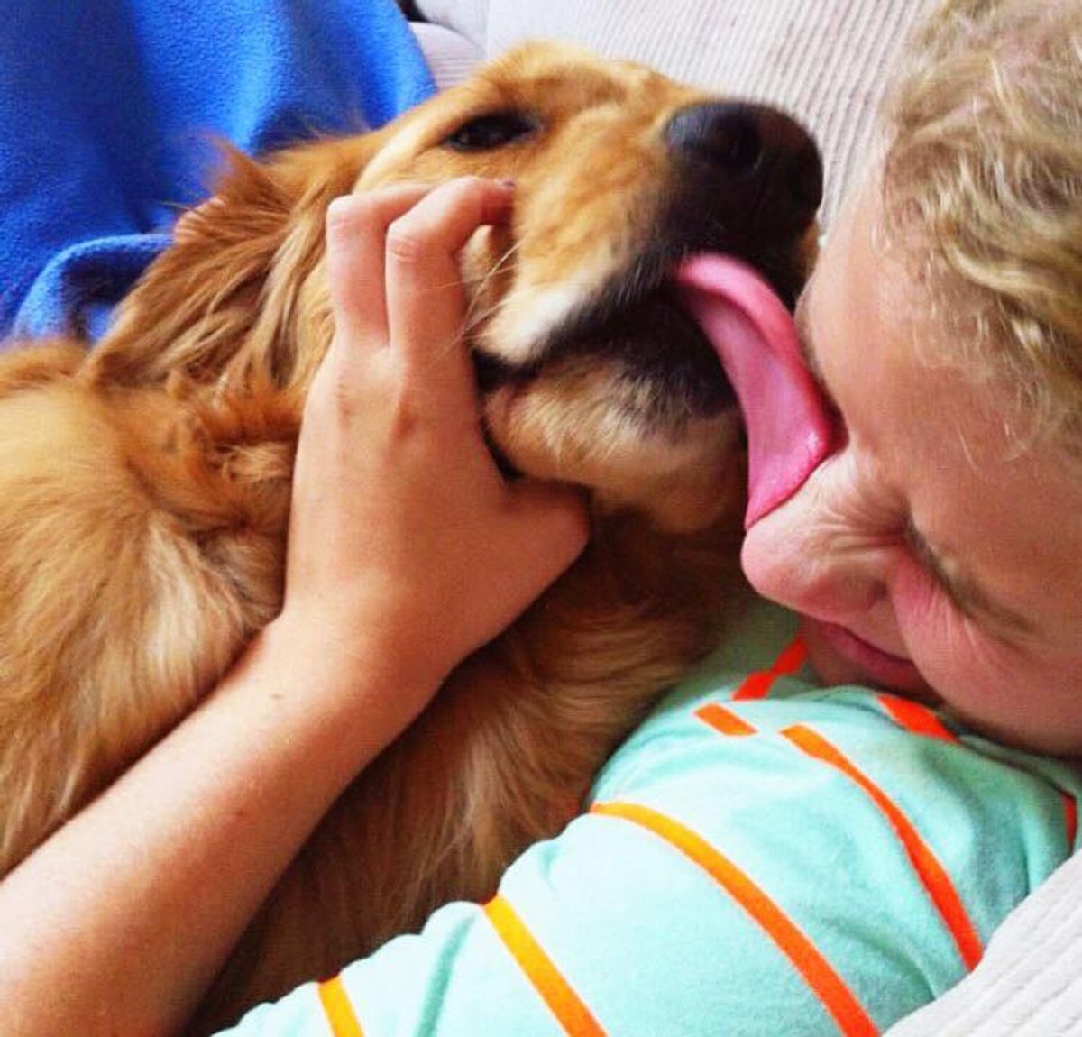10 Reasons Dogs Are Better Than Any Significant Other
