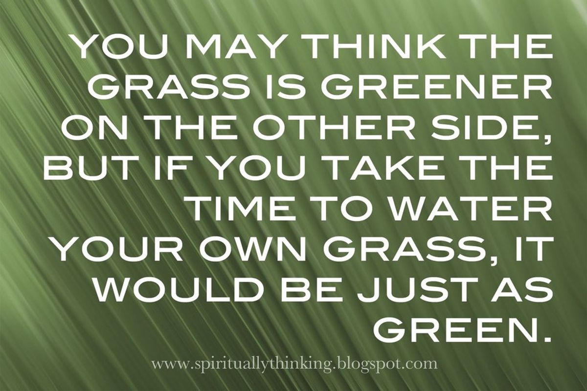 The Grass Is Always Greener On The Other Side Of The Fence