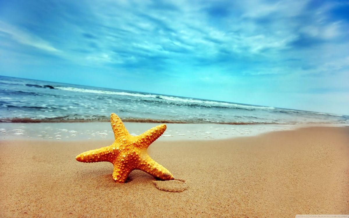 The ABCs of a Beach Trip