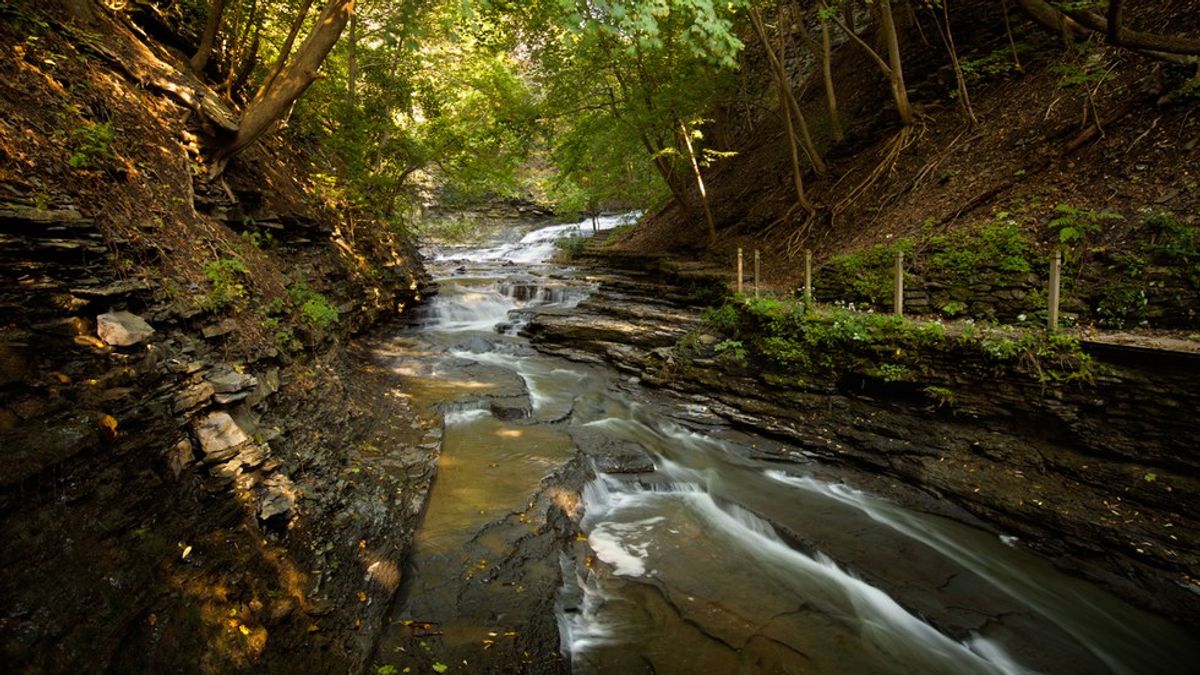 32 Things To Do in Ithaca This Summer