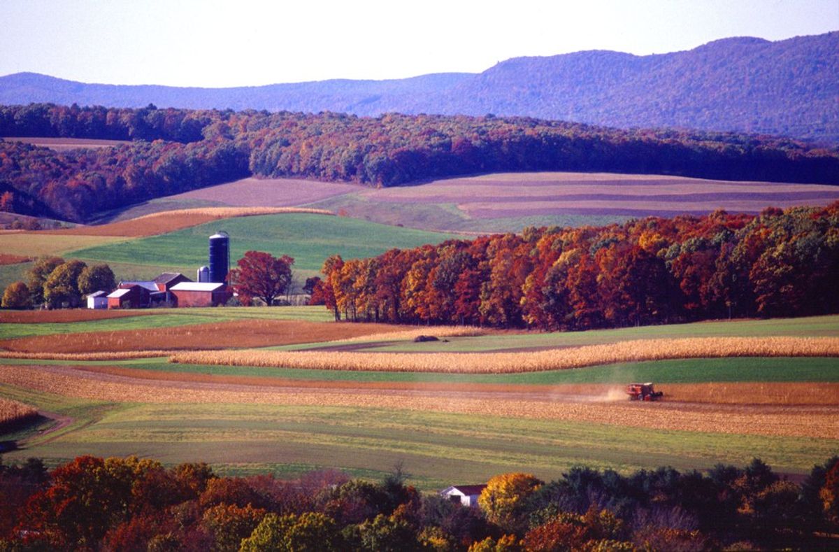 How Much Do You Know About Farming?