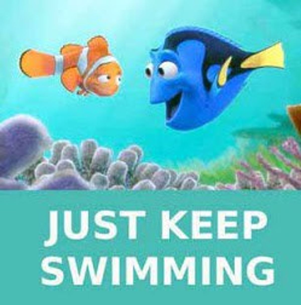 5 Things We Can Learn From Finding Nemo