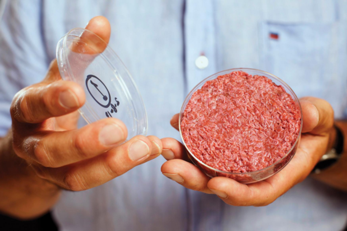 Would You Eat A Lab-Grown Steak?