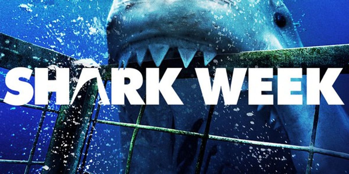 11 Shark Facts for Shark Week