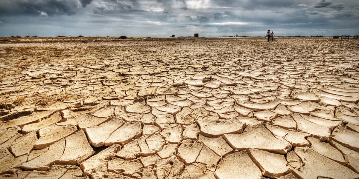 5 Thoughts You Have During A Drought