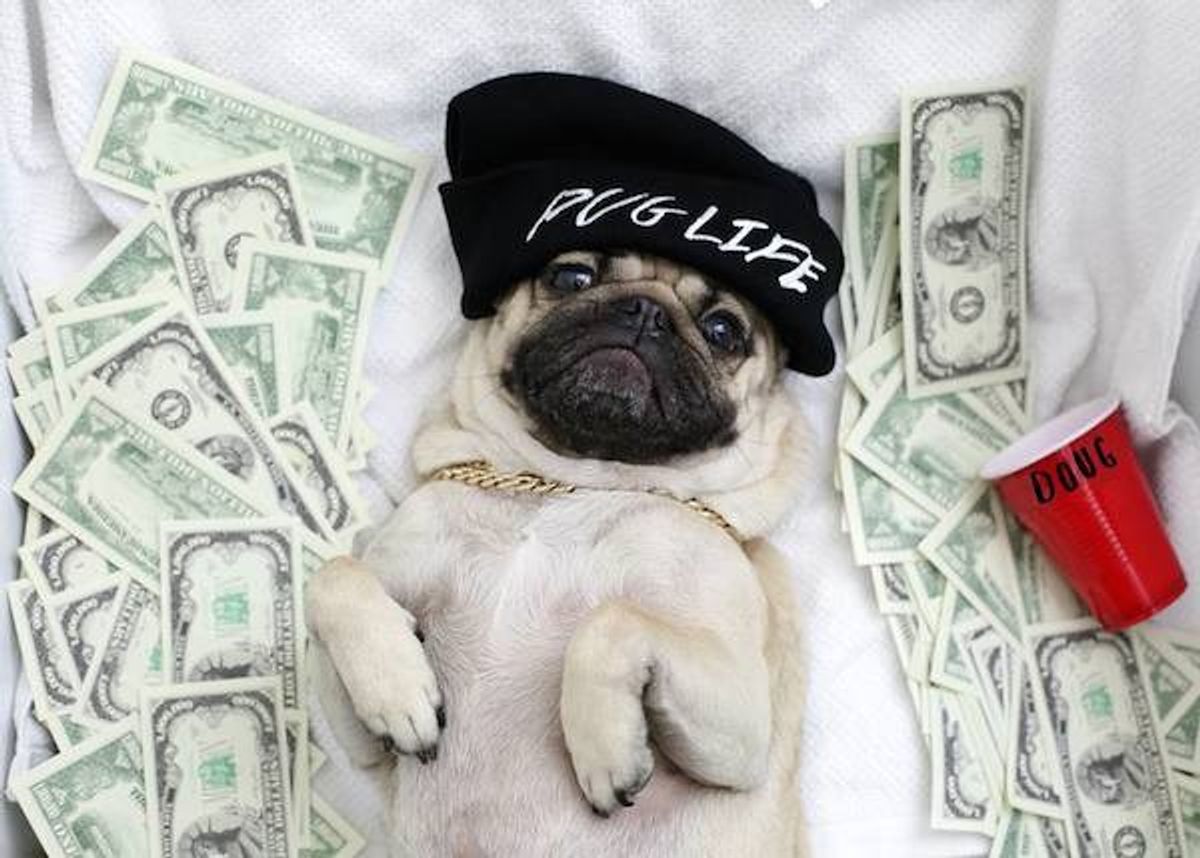 10 Photos That Prove Doug The Pug Is My Spirit Animal