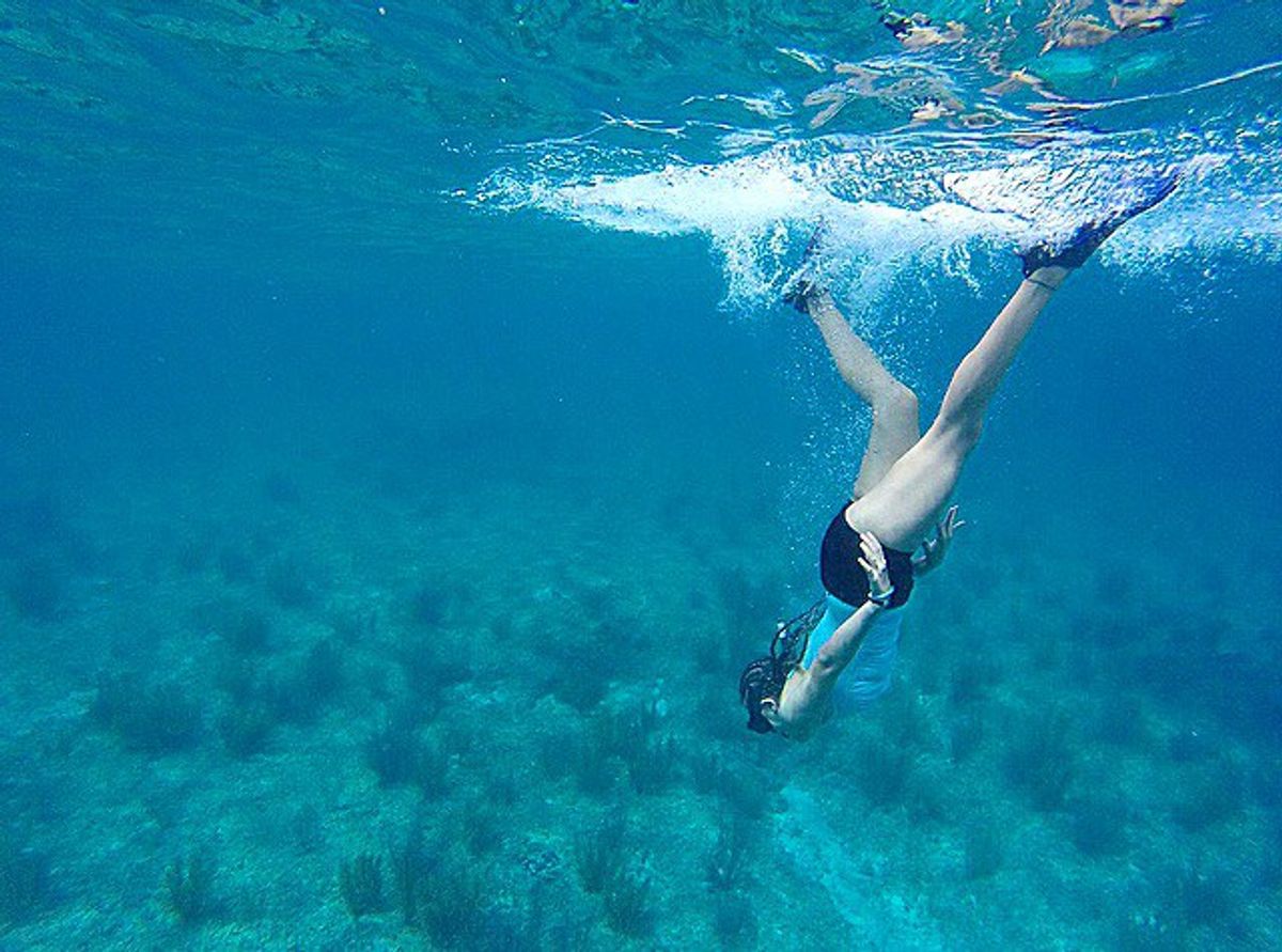 Mermaid Adventure Or Caribbean Snorkeling?