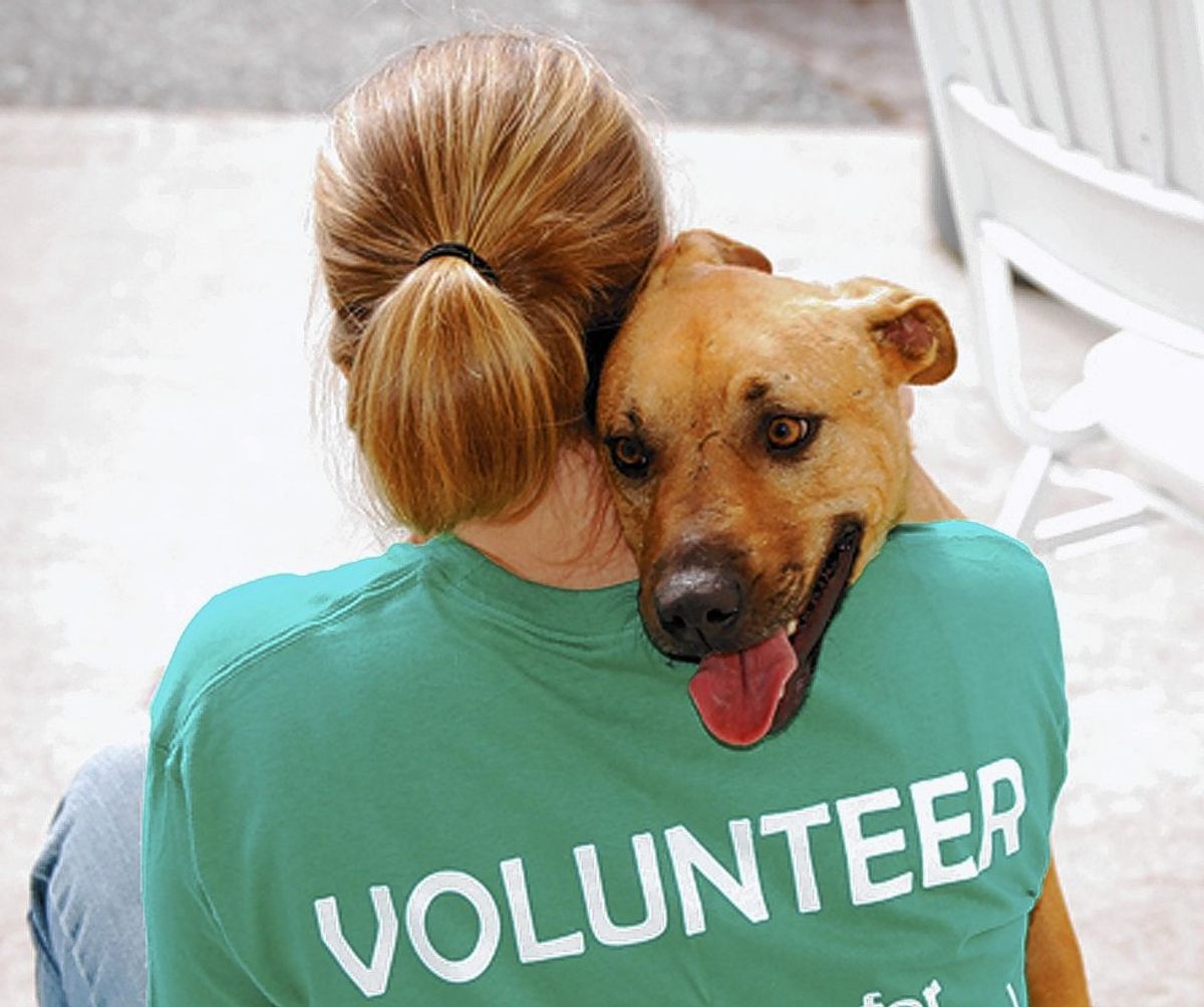 An Inside Look At What It's Like To Volunteer With Animals